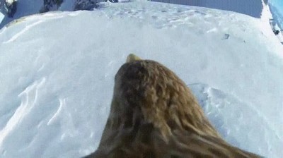 increible,paisaje,aguila,primera persona