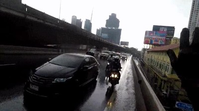 salvar,vida,pobre,gato