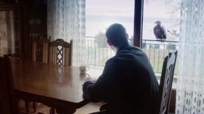 humano,que estas haciendo,mesa,esp&iacute;a