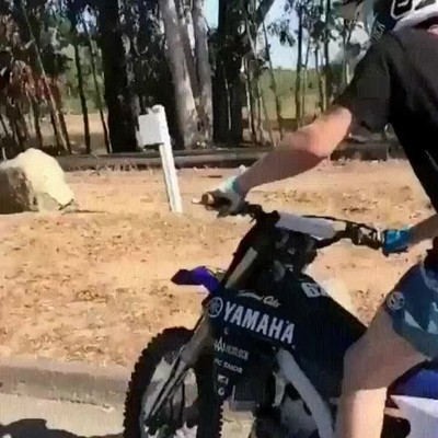 simple,rama,arruinar,video,perfecto