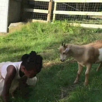 tener,mejor,profesor,aprender,r&aacute;pido