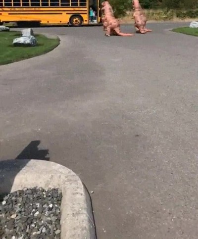 recibir,familia,volver,colegio,autobus,dinosaurio