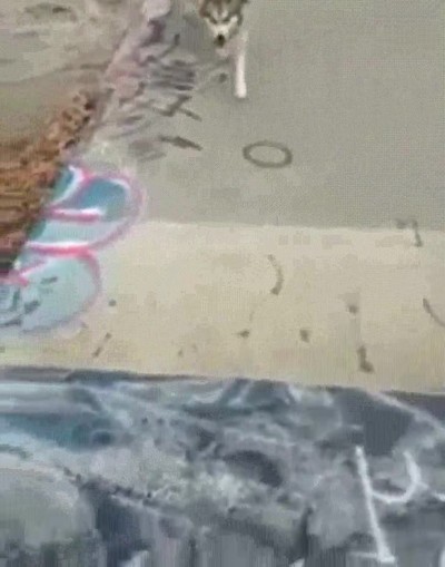 Enlace a Estos somos todos nosotros intentando cumplir los propósitos de 2017