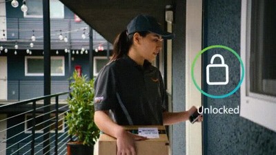 cartero,dejar,paquetes,dentro,casa,mal rollo