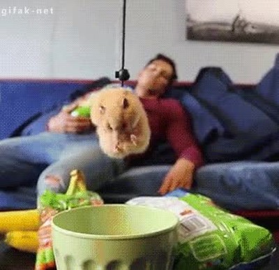 misi&oacute;n,imposible,recreado,h&aacute;mster