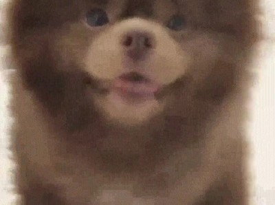 mejor,amigo,abrir,paquete,chicles,clase