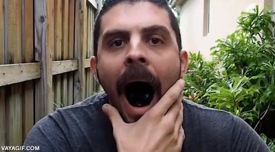 se&ntilde;ores,mascota,peligrosa,boca