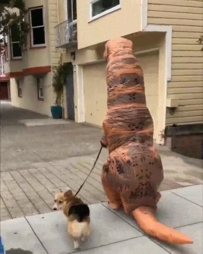 perro,tipico,dia,paseo,dinosaurio