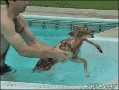 padres,piscina,hora,volver,casa