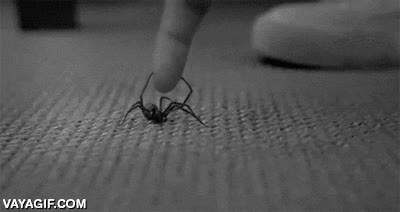 imaginar,ara&ntilde;a,habitaci&oacute;n
