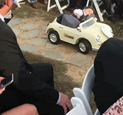 portador,anillos,dormir,volante,boda