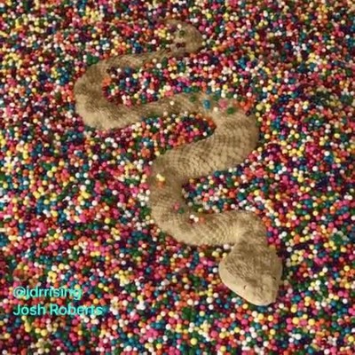 serpientes,disfrutar,parque infantil