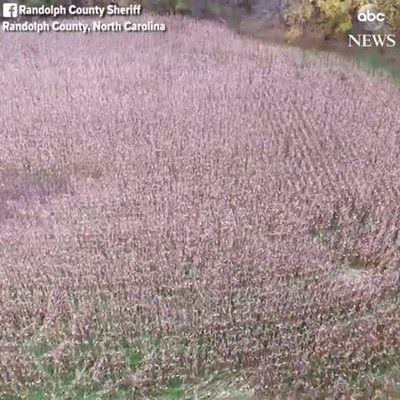 policia,carolina del norte,dron,persona,mayor