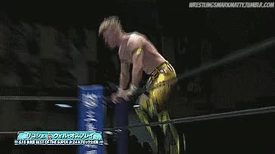 combates,lucha,libre,espectacular