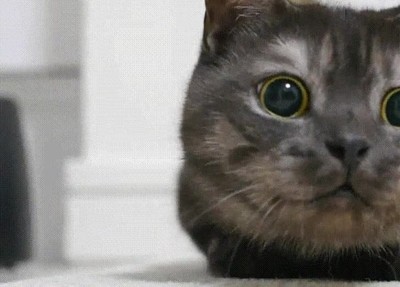 colegas,partida,ping pong,puntazo