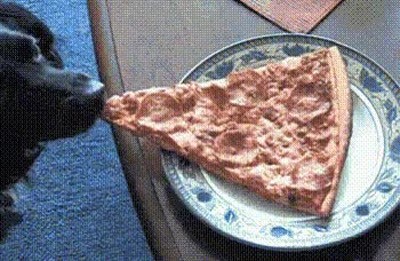 se&ntilde;or,pizza,plato,servir,camarero