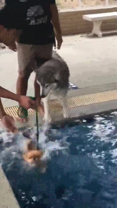 Enlace a Una buena motivación es la clave del éxito