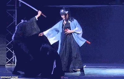 liada,compa&ntilde;ero,profesional,espada