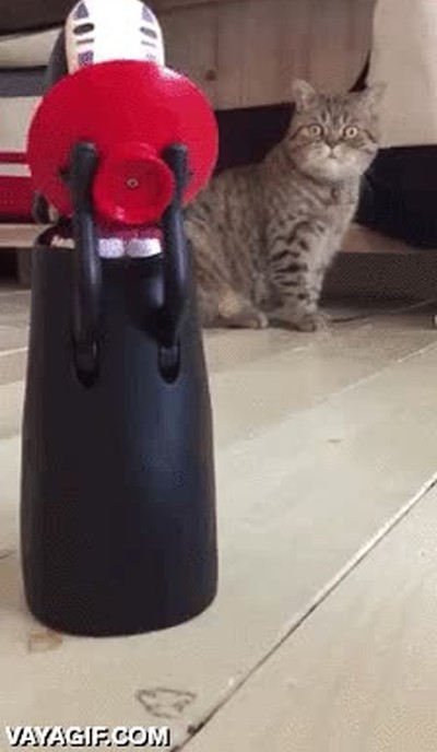 cara,avances,tecnologicos