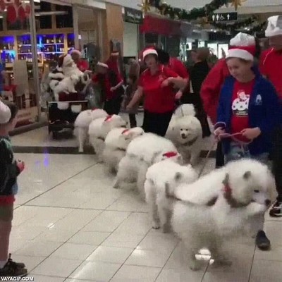 ayudante,santa claus,llegar,ciudad