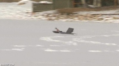 veh&iacute;culos,equipados,ataque,perros