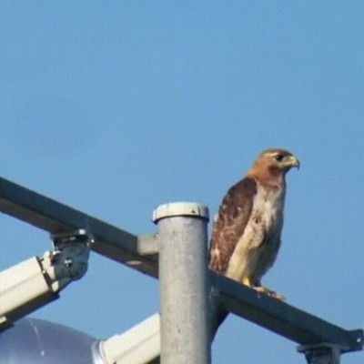 arruinar,dia,molestar,me da igual