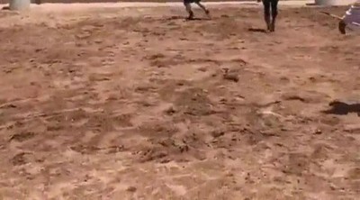 Enlace a Así juegan a volley en el País Vasco