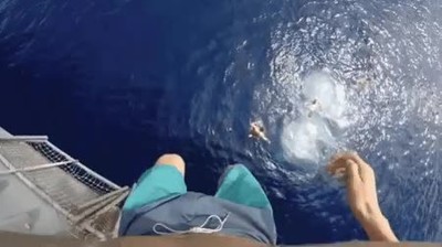 saltar,Portaviones,sentir,mar