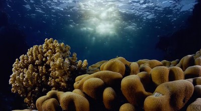 paisaje,relajar,cualquiera