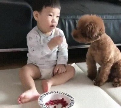 ni&ntilde;o,nacer,sentimientos,perro