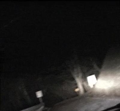 escena,pelicula,miedo,bosque