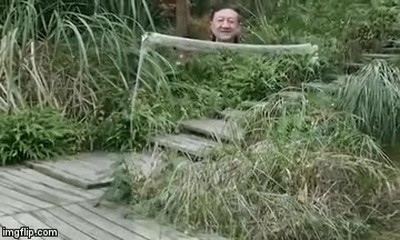 Enlace a En la teletienda ya venden la capa de invisibilidad