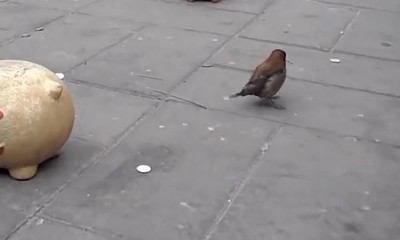 pajar,ahorrar,moneda,hucha,vivienda