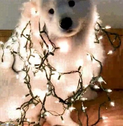 perro,a&ntilde;o,arbol,luces