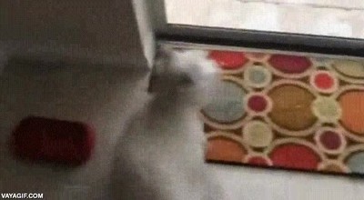 amigo,invitar,casa,piscina