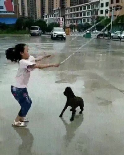 perro,pasar,dia entero,saltar,comba