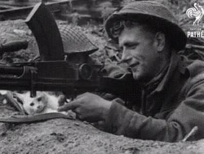 Enlace a Esto es lo que hacía un gato en las trincheras de la guerra en 1940