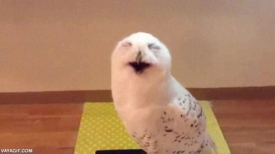 cara,lunes,dormir,clase