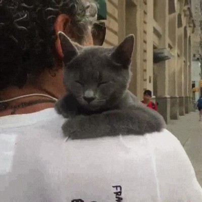 Enlace a Paseando por las calles de Nueva York en la mejor compañía 