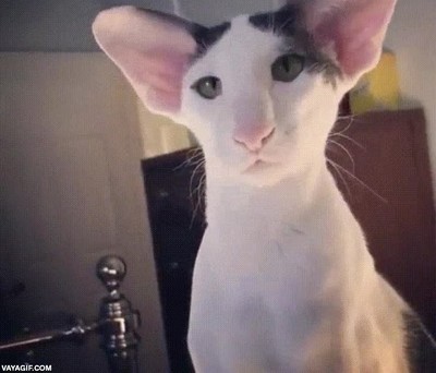 kylo ren,parecer,star wars