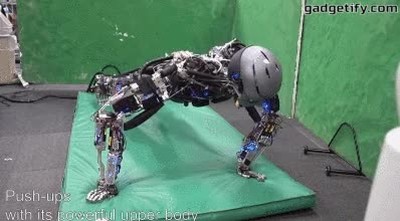 robot,entrenar,en forma