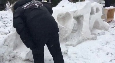 gente,perfeccionista,decidir,nieve,blanca