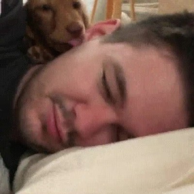 perro,despertar,bajar,calle