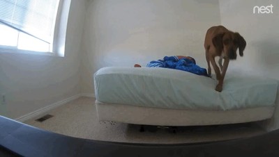 Enlace a Cuando descubres que te han pillado con una cámara oculta