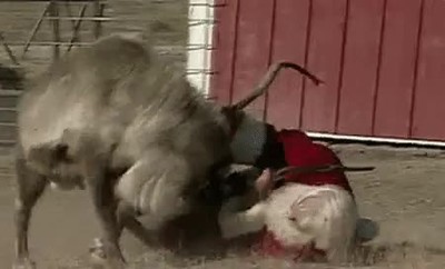 santa,rudolph,amigos