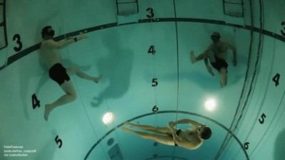 jugar,frisbee,debajo,agua