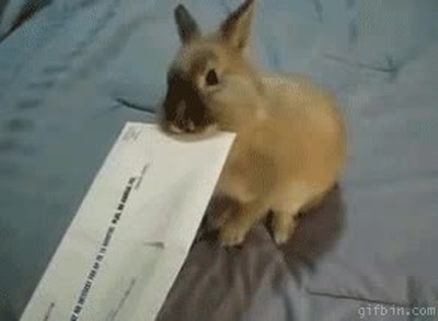 Enlace a Abrecartas ecológico