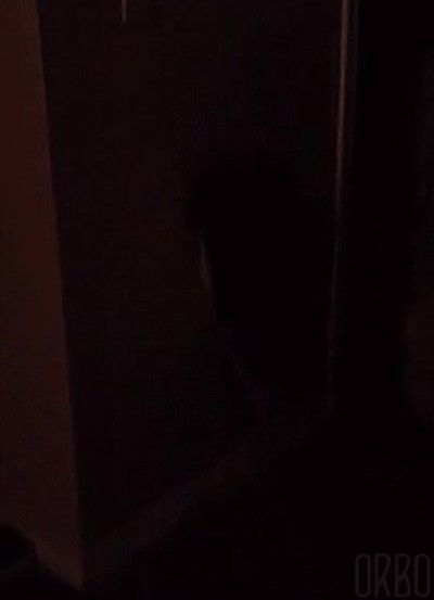 gato,descubrir,interruptor,luz