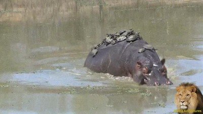 ultima parada,pasajeros,bajar,vehiculo