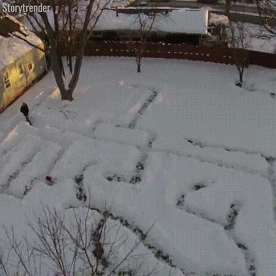 dia,nieve,laberinto,perro